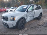 Kia Telluride Sx Prestige X-Pro 5XYP5DGC4RG453407 fotografie