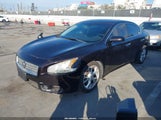 Nissan Maxima 3.5 S 1N4AA5AP0DC827565 снимка