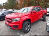 Chevrolet Colorado Wt 1GCGSBEN0K1343865 снимка
