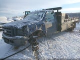 Miniaturka zdjęcia 2
