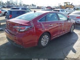 Hyundai Sonata Hybrid Se KMHE24L17GA011198 photo