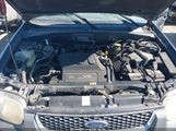 Ford Escape Xlt 1FMYU03191KE57497 снимка