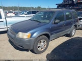 Ford Escape Xlt 1FMYU03191KE57497 снимка