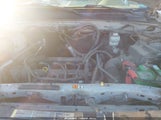 Ford Escape Xlt 1FMCU0D7XBKB48152 fotografie