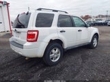 Ford Escape Xlt 1FMCU0D7XBKB48152 снимка
