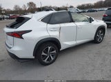 Lexus Nx 300 JTJGARDZ2M5019163 снимка