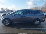 Honda Odyssey Ex-L 5FNRL5H63FB078691 снимка