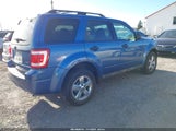 Ford Escape Xlt 1FMCU93779KA08009 снимка