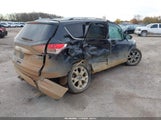 Miniaturka zdjęcia 4