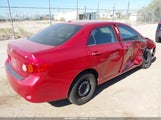 Toyota Corolla Le 2T1BU4EE6AC487527 fotografie