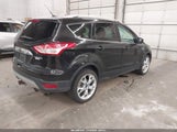 Ford Escape Titanium 1FMCU9J98FUB30916 photo
