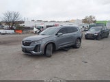 Miniaturka zdjęcia 2