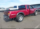Toyota Tacoma Base V6 5TEWN72N54Z424339 снимка
