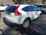 Honda Cr-V Ex-L 5J6RM3H76EL041344 снимка
