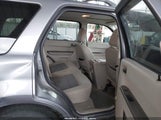 Ford Escape Xlt 1FMCU03Z58KD67712 снимка
