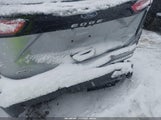 Miniaturka zdjęcia 6