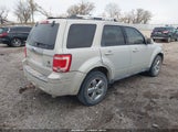 Ford Escape Limited 1FMCU94G29KB47396 снимка
