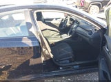 Miniaturka zdjęcia 5
