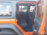Miniaturka zdjęcia 8