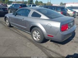 Ford Mustang V6 1ZVFT80N565182752 снимка