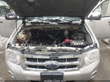 Ford Escape Xlt 1FMCU93709KB08162 снимка