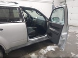 Ford Escape Xlt 1FMCU93709KB08162 снимка