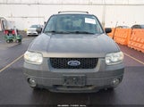 Ford Escape Xlt 1FMCU93185KB07394 снимка
