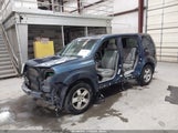Honda Pilot Ex 5FNYF4H43AB010332 fotografie
