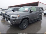 Miniaturka zdjęcia 2