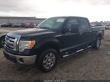 Ford F-150 Fx4/King Ranch/Lariat/Platinum/Xl/Xlt 1FTPW14V79FB13074 снимка