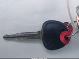 Miniaturka zdjęcia 11