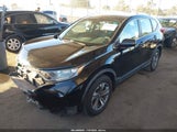 Miniaturka zdjęcia 2
