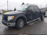 Ford F-150 Fx4/Harley-Davidson/King Ranch/Lariat/Platinum/Xl/Xlt 1FTFW1EV5AFD06774 photo