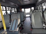 Miniaturka zdjęcia 8