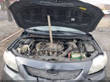Toyota Corolla Le 2T1BU4EE3AC323510 снимка