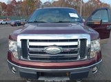 Ford F-150 Xlt 1FTPX14V69FB20336 снимка