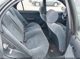 Miniaturka zdjęcia 8