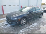Miniaturka zdjęcia 2