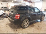 Ford Escape Limited 1FMCU94138KC40499 снимка