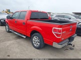 Ford F-150 Xlt 1FTFW1CF4DFE02699 снимка