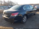 Honda Accord 3.5 Ex-L 5KBCP3F89AB006276 снимка