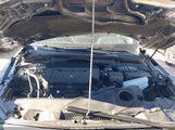 Miniaturka zdjęcia 10
