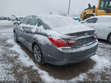 Hyundai Sonata Limited 2.0T 5NPEC4AB4DH614417 снимка