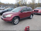 Honda Cr-V Ex 5J6RE4H53AL037196 снимка
