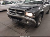Dodge Dakota Slt 1D7HL42X13S294356 снимка