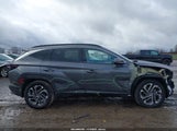 Hyundai Tucson Hybrid Limited KM8JEDD14SU356684 photo