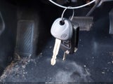 Miniaturka zdjęcia 11