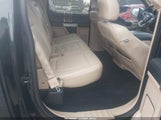 Miniaturka zdjęcia 8