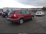 Honda Cr-V Lx JHLRE48329C023910 снимка