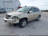 Lexus Rx 330 JTJGA31U440010712 снимка